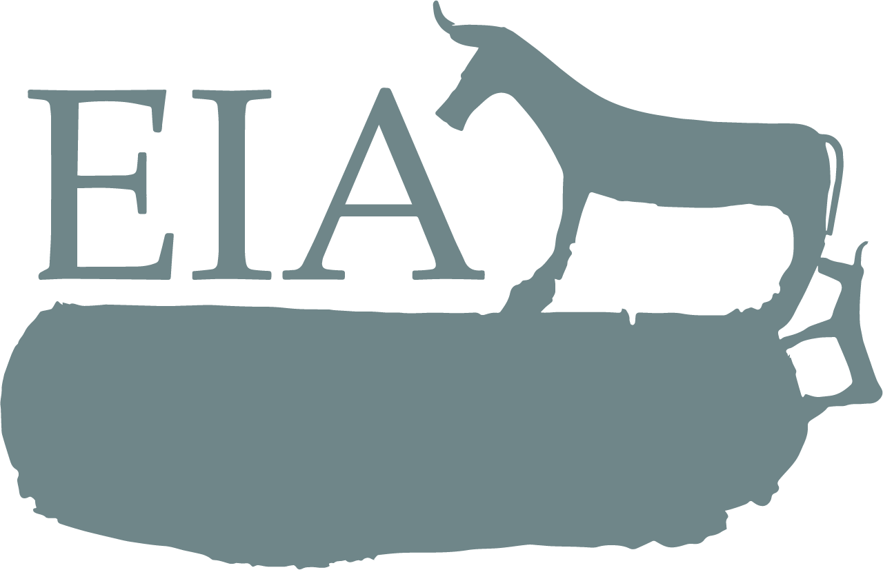 Logo of EIA Conference
